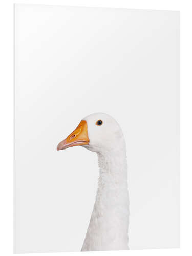 Foam board print White Goose III