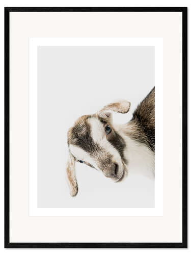 Impression artistique encadrée Friendly Goat