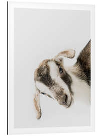 Magnettafel Freundliche Ziege