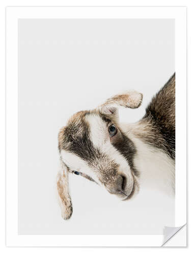 Wall sticker Friendly Goat