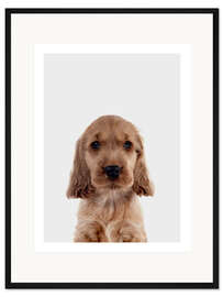 Gerahmter Kunstdruck Cocker Spaniel Welpe