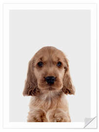 Wall sticker Cocker Spaniel Puppy