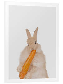 Foam board print Rabbit with a carrot II