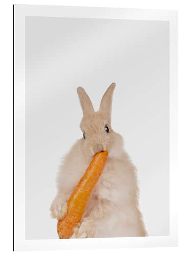 Gallery print Rabbit with a carrot II