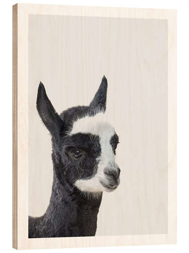 Wood print Friendly Alpaca