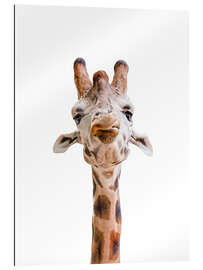 Gallery print Funny Giraffe