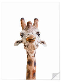 Vinilo para la pared Funny Giraffe