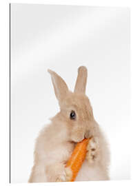 Galleritryk Bunny with a carrot I