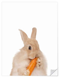 Vinilo para la pared Bunny with a carrot I