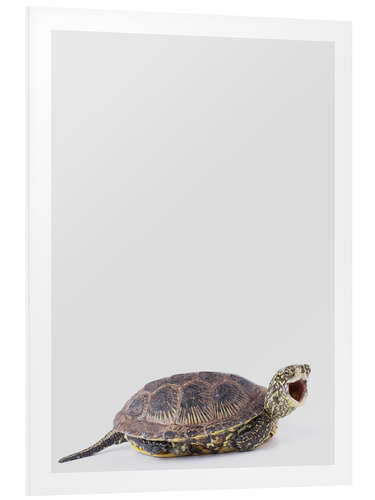 Tableau en PVC Tortue heureuse