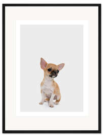 Gerahmter Kunstdruck Baby Chihuahua