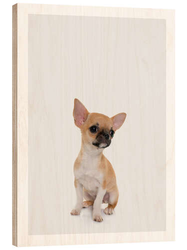 Wood print Baby Chihuahua