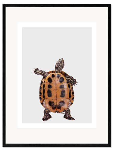 Ingelijste kunstdruk Dancing Turtle