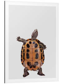 Magnettafel Tanzende Schildkröte