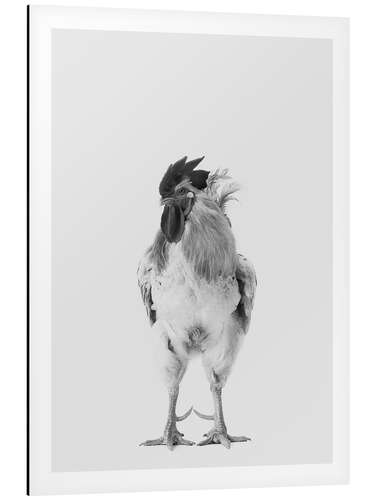 Alumiinitaulu Fancy Rooster I