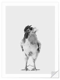 Selvklebende plakat Fancy Rooster I