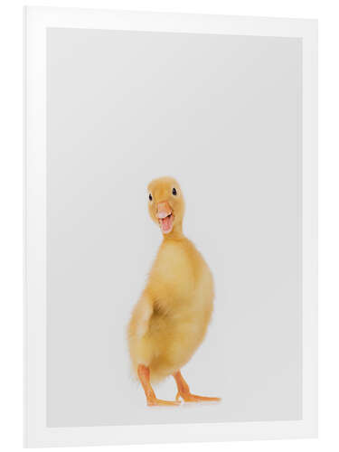 Foam board print Duckling III