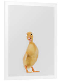 Foam board print Duckling III