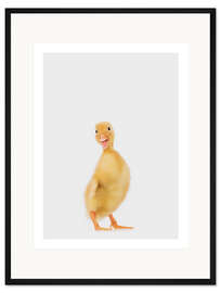 Gerahmter Kunstdruck Entenküken III