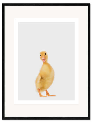 Framed art print Duckling III