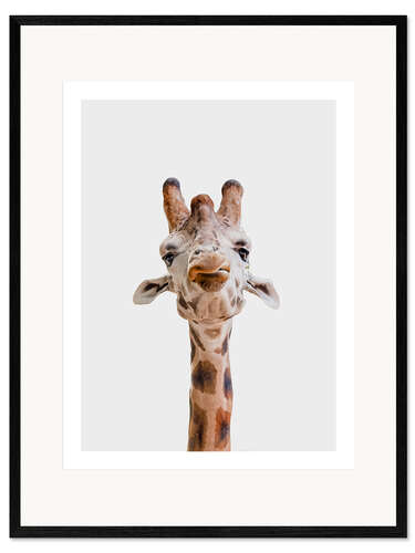 Framed art print Giraffe Kiss