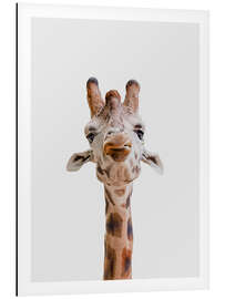 Magnettafel Giraffenkuss