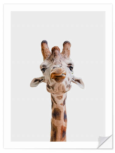 Wall sticker Giraffe Kiss