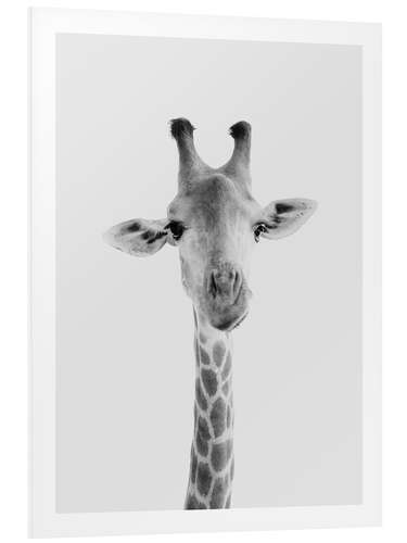 Tableau en PVC Giraffe II