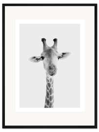 Gerahmter Kunstdruck Giraffe II
