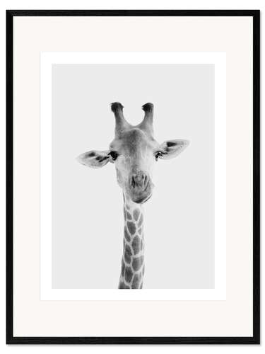 Impresión de arte enmarcada Giraffa II