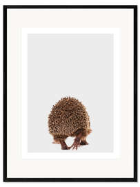 Ingelijste kunstdruk Hedgehog II