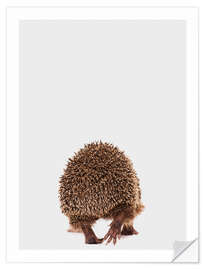 Wall sticker Hedgehog II