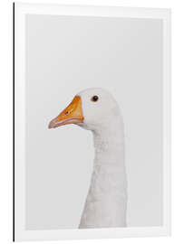 Magnettafel Mürrische Gans