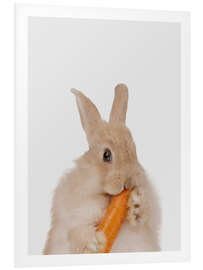 Foam board print Rabbit with a carrot I