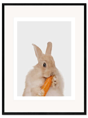 Impresión de arte enmarcada Rabbit with a carrot I