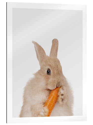 Gallery print Rabbit with a carrot I