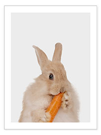 Poster  Kaninchen mit Möhre I - Animal Kids Collection