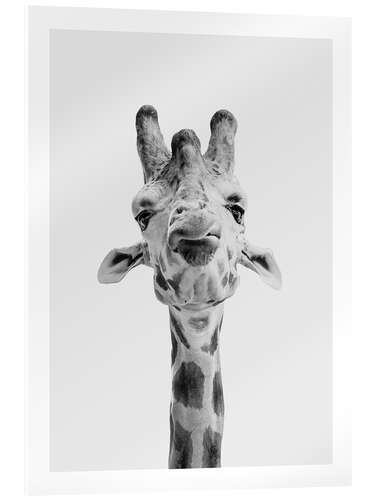 Akrylbilde Giraffe I