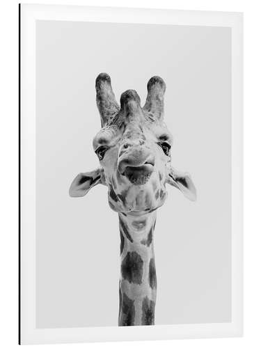 Alumiinitaulu Giraffe I