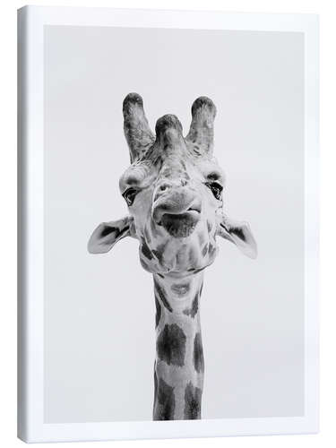 Canvas print Giraffe I