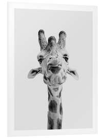 Foam board print Giraffe I