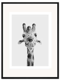 Gerahmter Kunstdruck Giraffe I