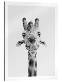 Gallery print Giraffe I