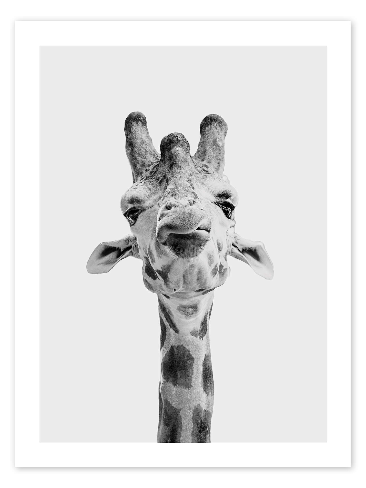 Wandbild „Giraffe I“ von Animal Collection Kids