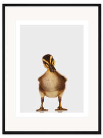 Gerahmter Kunstdruck Skeptisches Entchen
