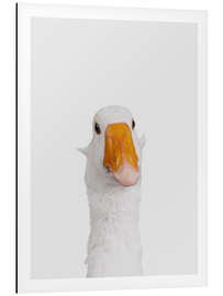 Aluminium print Funny Goose