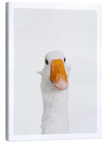 Canvas-taulu Funny Goose