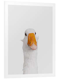 Foam board print Funny Goose