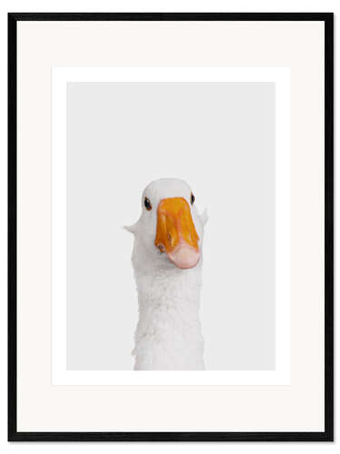 Framed art print Funny Goose