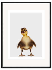 Gerahmter Kunstdruck Fröhliches Entchen